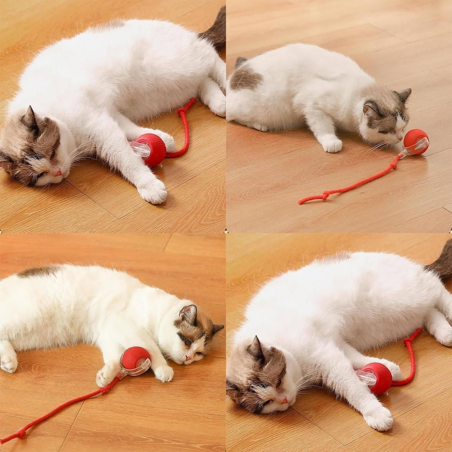 Interactive Cat Ball Toy
