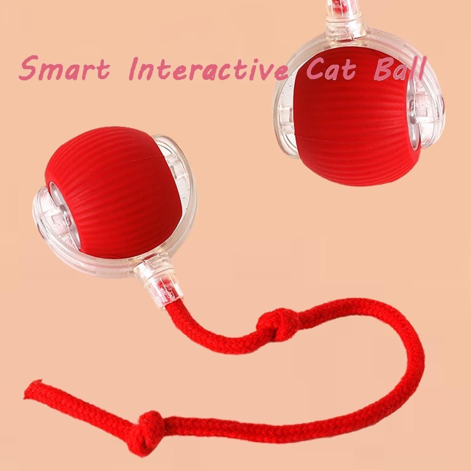 Interactive Cat Ball Toy