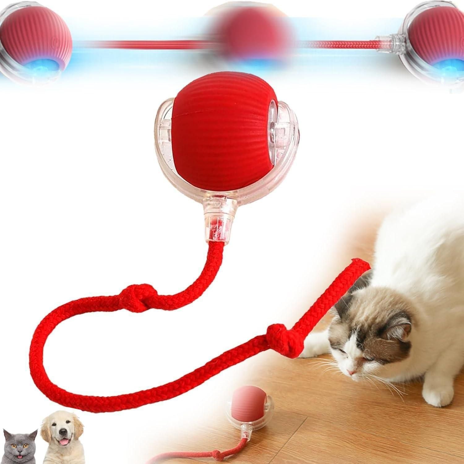 Interactive Cat Ball Toy